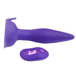 Vibration &amp; Rotation Anal Plug