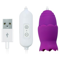 USB Power Duo Bullet Vibrator