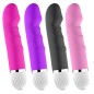 Lover Vibrating Silicone Penis