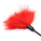 Frisky Feather Tickler