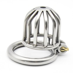 Asylum Chastity Device