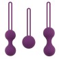 Kegel Exercise Weights Kit