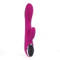 Passion Silicone Rabbit Vibrator