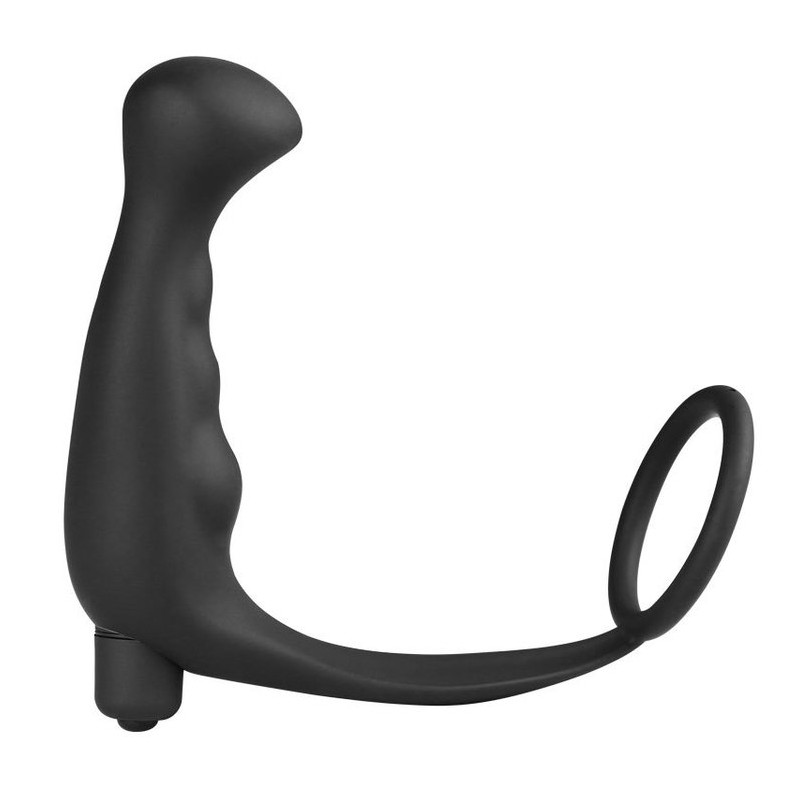 Cock Ring and Anal Prostate Massager Combo