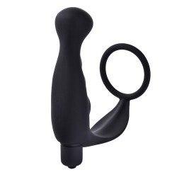 Cock Ring and Anal Prostate Massager Combo