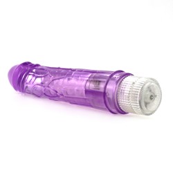 Multi-speed Jelly Vibrating Dildo