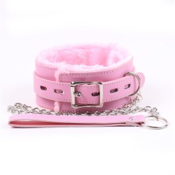 Plush Lined Metal Lead Collar