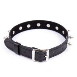 Spike Pin Buckle Collar