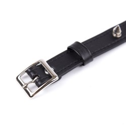 Spike Pin Buckle Collar