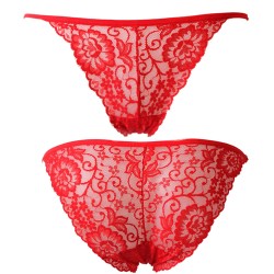 Ladies See-through Lace Briefs Sexy Underwear