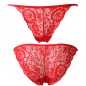 Ladies See-through Lace Briefs Sexy Underwear