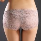 Alluring Floral Lace Transparent Panty Lingerie