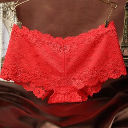 Alluring Floral Lace Transparent Panty Lingerie