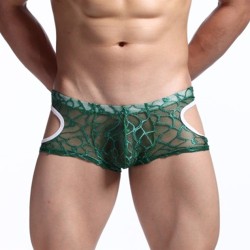 Comfortale Lace Transparent Boxer Shorts Underwear