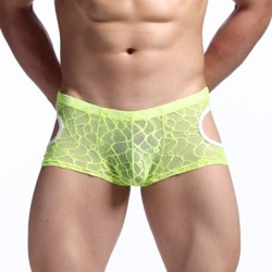 Comfortale Lace Transparent Boxer Shorts Underwear