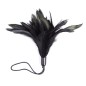 Horn Feather Tickler