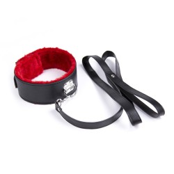 Red Fur Lined Locking Collar