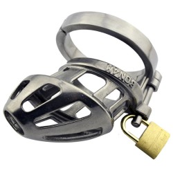 BON4M Stainless Steel Locking Cock Cage Chastity