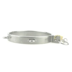 Iron Locking Collar