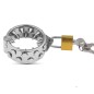 Kali's Teeth Chastity Device (2/4 Rows)